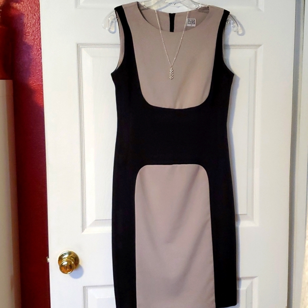 Sophisticatedly Made Dress by Grey Wolf, Size S